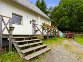 Luxurious Farmhouse in Hellenthal near Ski Resort